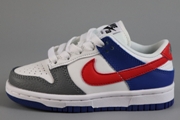 Kids Dunk SB C22